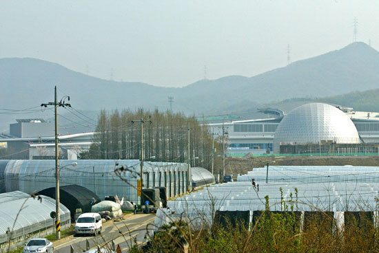 꿀벌마을 뒤로 개관을 앞두고 있는 과학관이 보인다. 꿀벌마을 터도 개발될 예정이다. 주민들은 갈 곳이 없다.